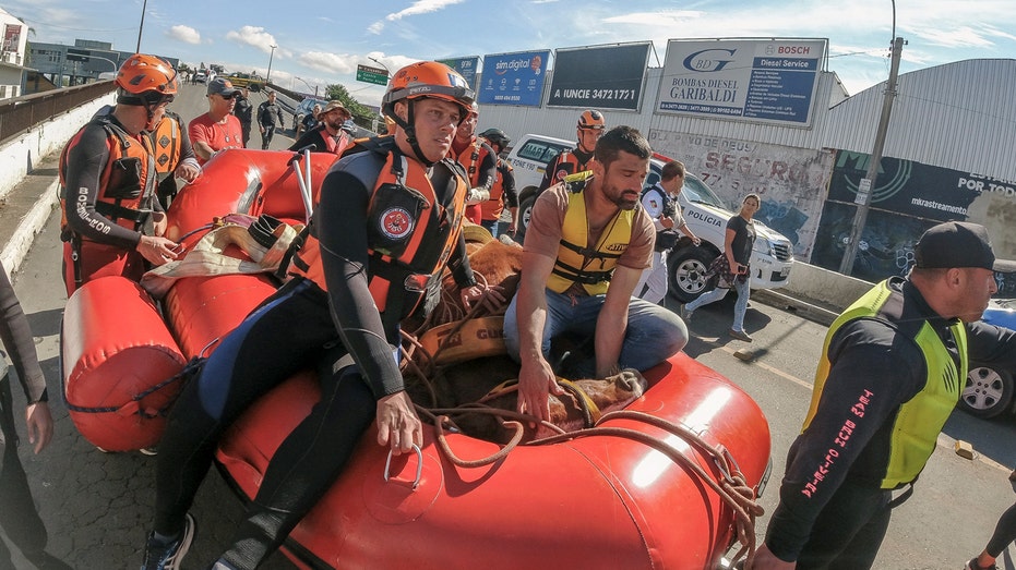 ‘Caramelo,’ the Brazilian horse stranded on a roof by floods, is rescued after stirring the nation