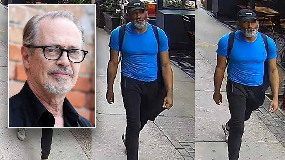 Steve Buscemi attack: Suspect charged in NYC sucker punch, police say
