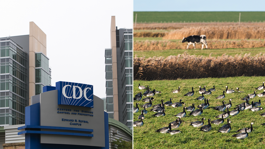 Biden admin battle with state officials in Texas, Idaho over bird flu outbreak: ‘Bless their hearts’