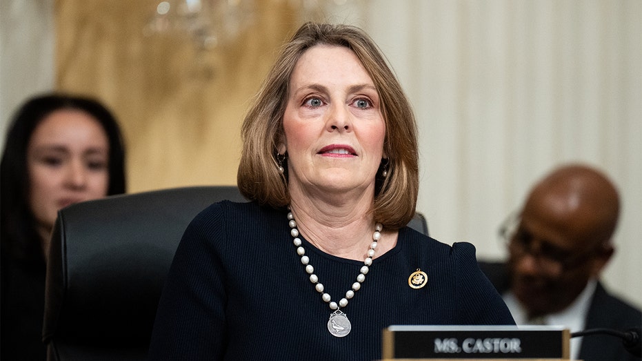 House Democrat questions patriotism of Republicans criticizing NPR: Putin, CCP 'certainly enjoy it'
