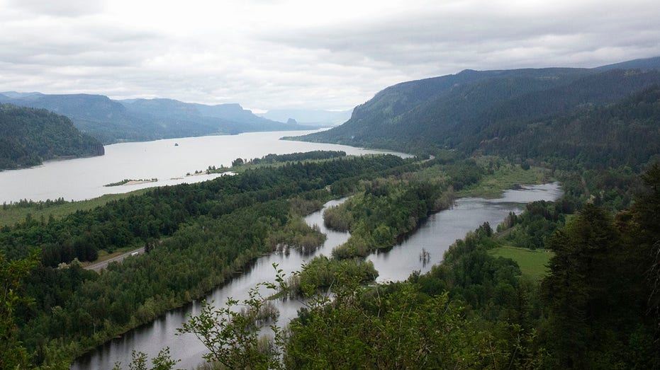 Oregon hiker, 22, dies at Columbia River Gorge after falling off a cliff