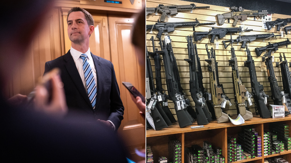 Republicans team up to defeat longtime ‘restriction’ targeting gun owners: ‘Violation of the Second Amendment’