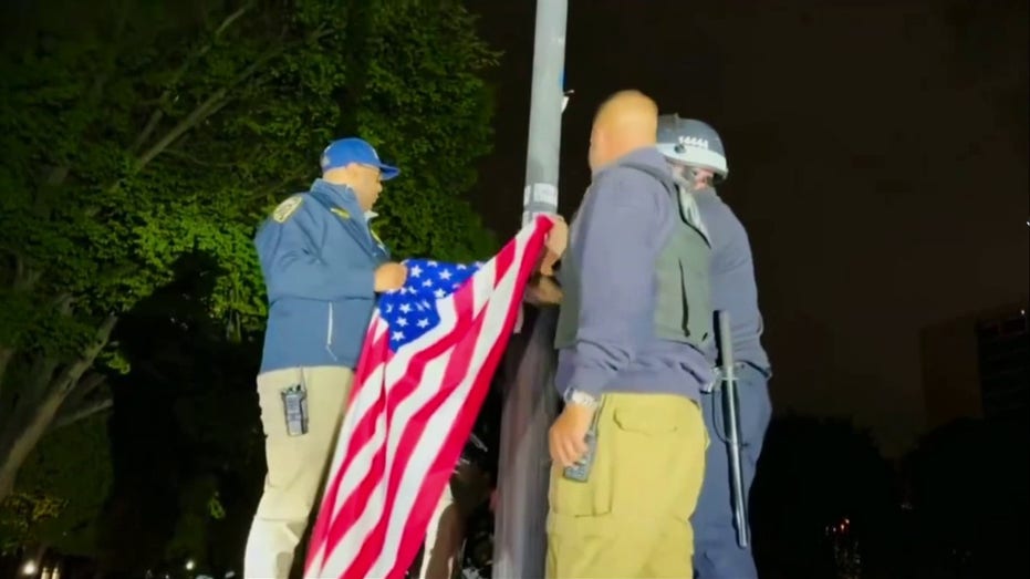 NYPD removes Palestinian flag from CCNY campus, reraises American flag after anti-Israel protest