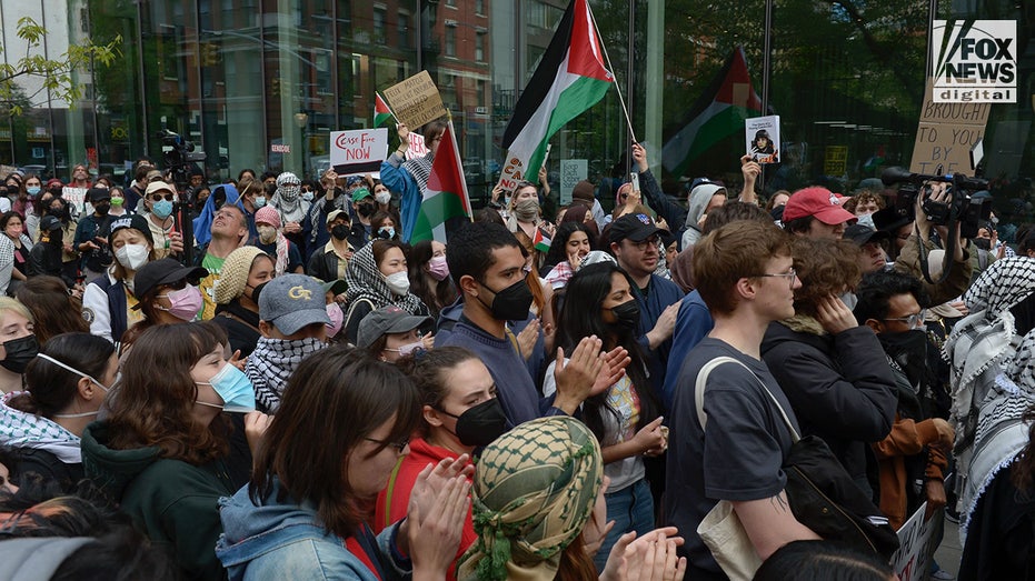 Pro-Palestine protester who interrupted Super Bowl LIX halftime show found guilty in court
