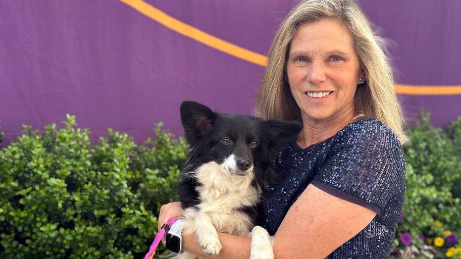 A ‘border pap’ becomes first mixed-breed dog to win Westminster dog show agility competition