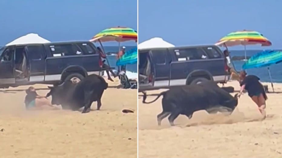 Raging bull attacks woman on Mexican beach as tourists scream in horror: video