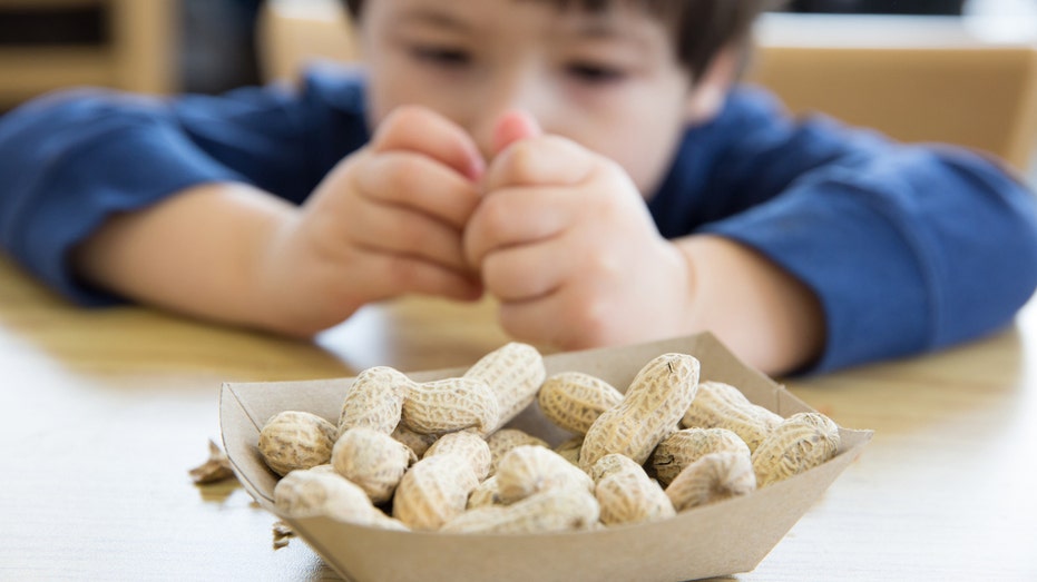 Feeding peanuts to babies could prevent allergies through the teen years, study finds