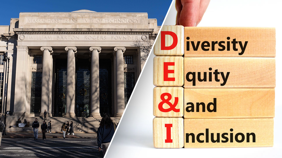 Elite university eliminates DEI hiring requirement: ‘They don’t work’