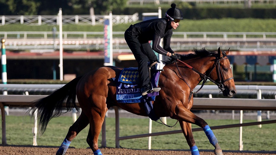 Preakness Stakes favorite and Bob Baffert-trained horse ruled out after spiking a fever