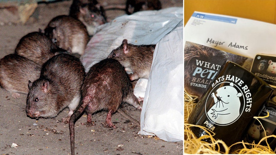 PETA calls out NYC mayor for ‘villainizing rats’