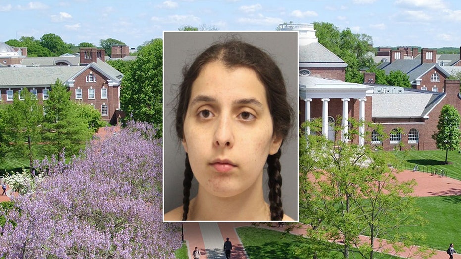 Delaware student who went on ‘antisemitic tirade,’ spit on Holocaust memorial charged with hate crime: warrant