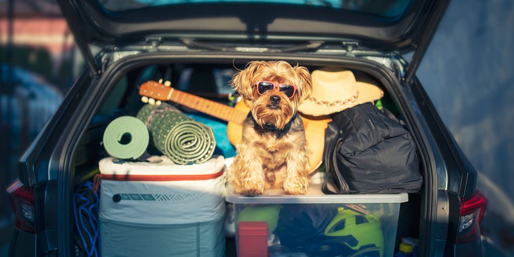 10 accessories that will help keep your car tidy on your next road trip