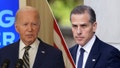 President Biden reportedly believes his re-election campaign cost his son Hunter Biden a plea deal. - Fox News
