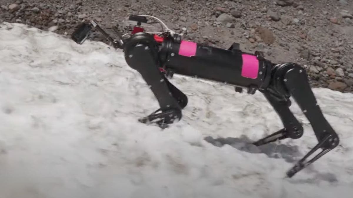 A crazy powerful robot dog is ready for a moon rescue mission
