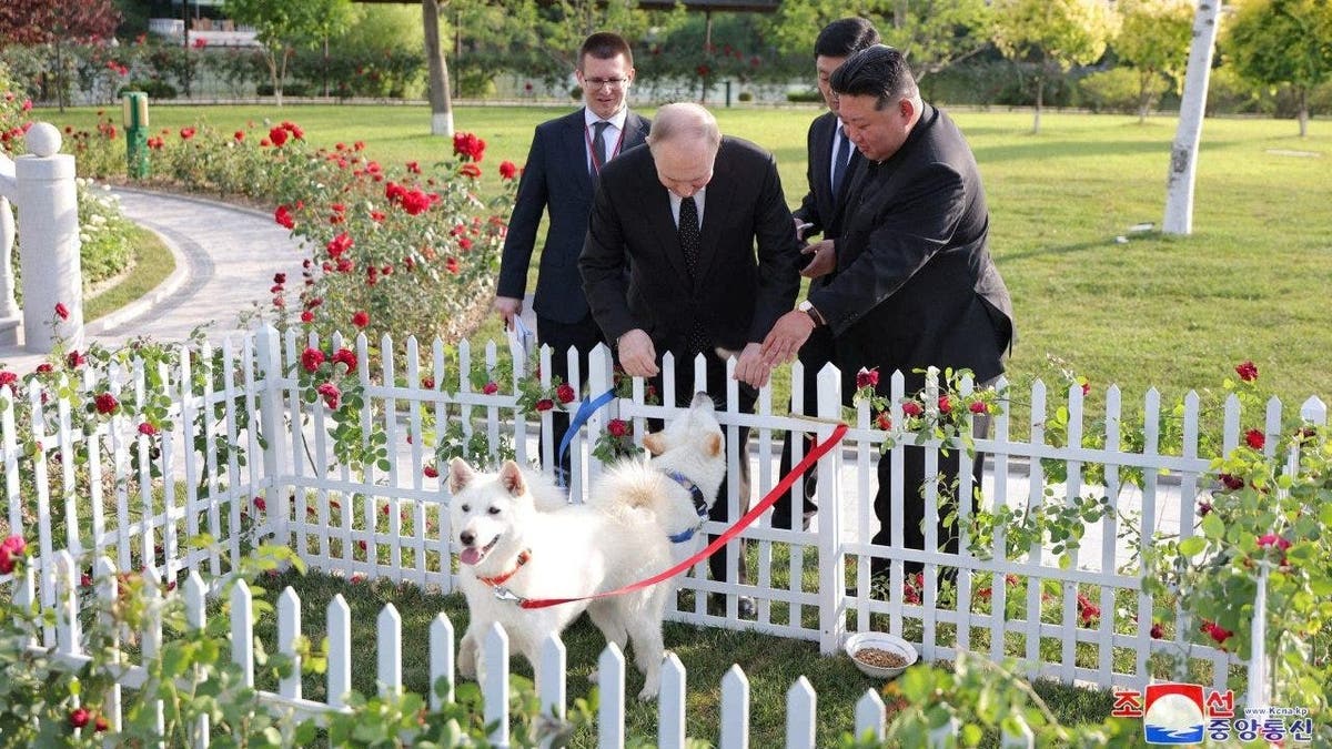 Putin and Kim pet dogs during a walk in the garden of the Kumsusan Guesthouse in Pyongyang.