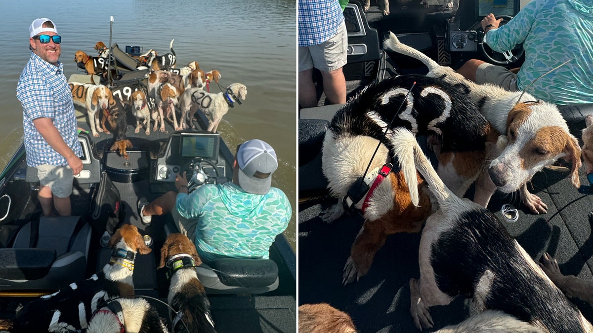 38-anjing-diselamatkan-dari-danau