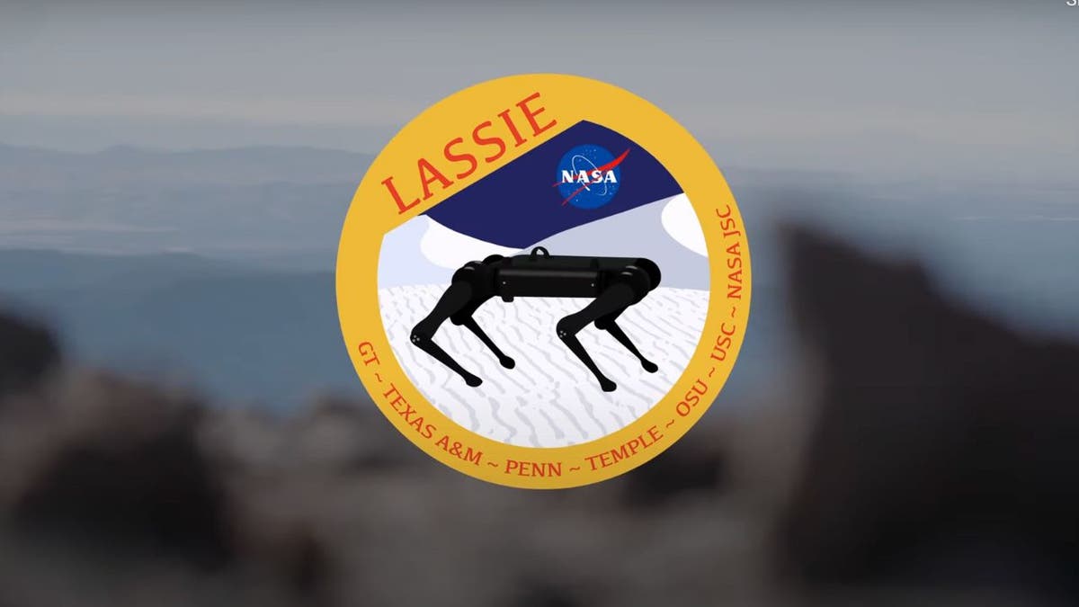 Crazy-strong robotic dogs are ready for a rescue moon mission