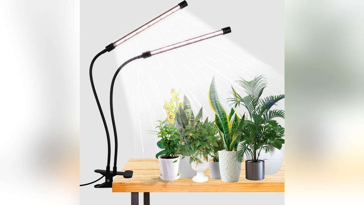 Move your grow lights wherever they need to be. 