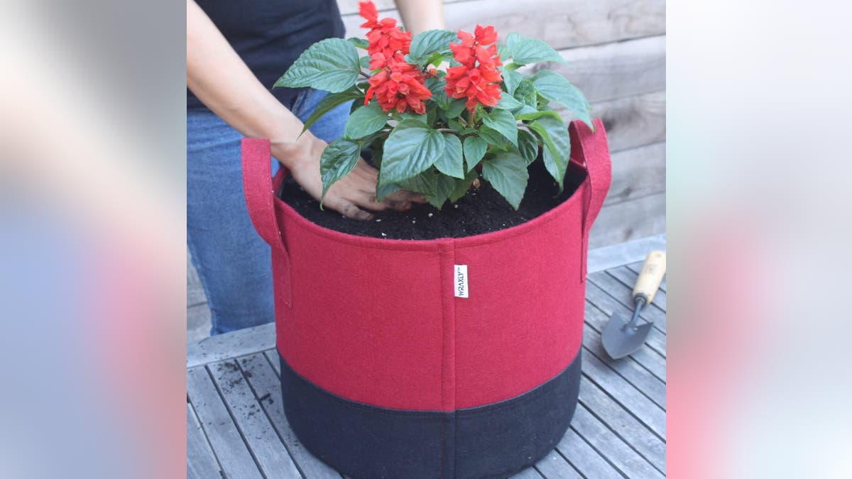 Grow bags are affordable alternatives to plastic pots. 