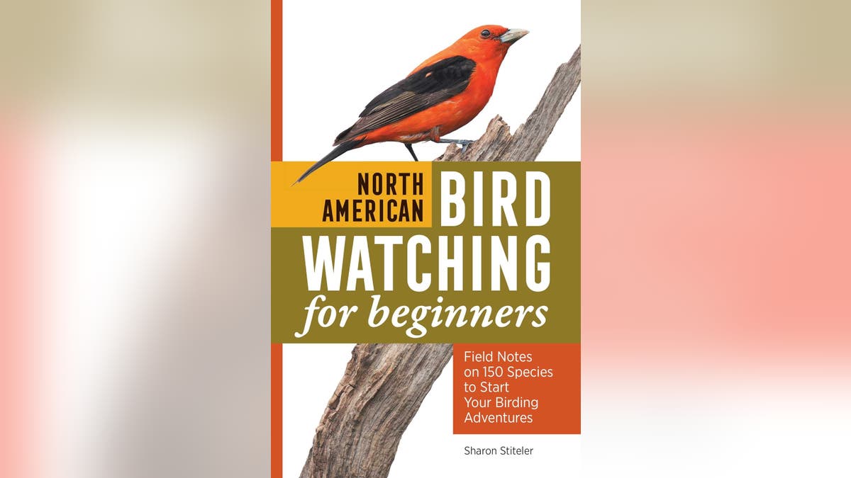 Start identifying birds by their appearance and location with a field guide. 