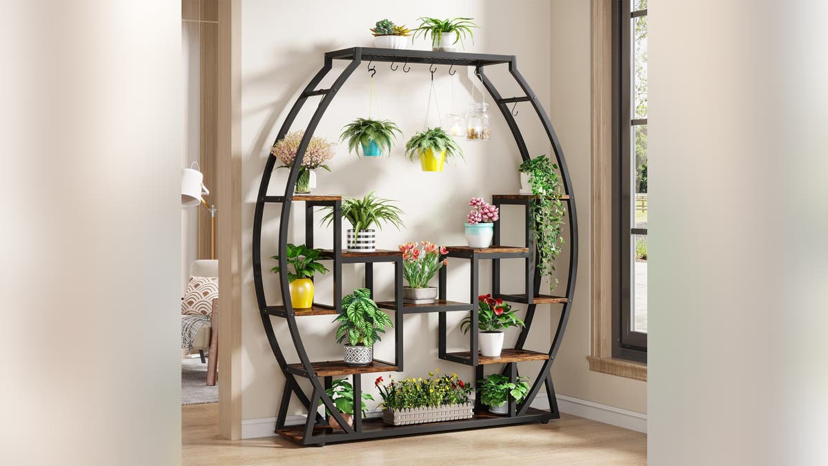 Plant stands provide all the room you need for your many plants. 