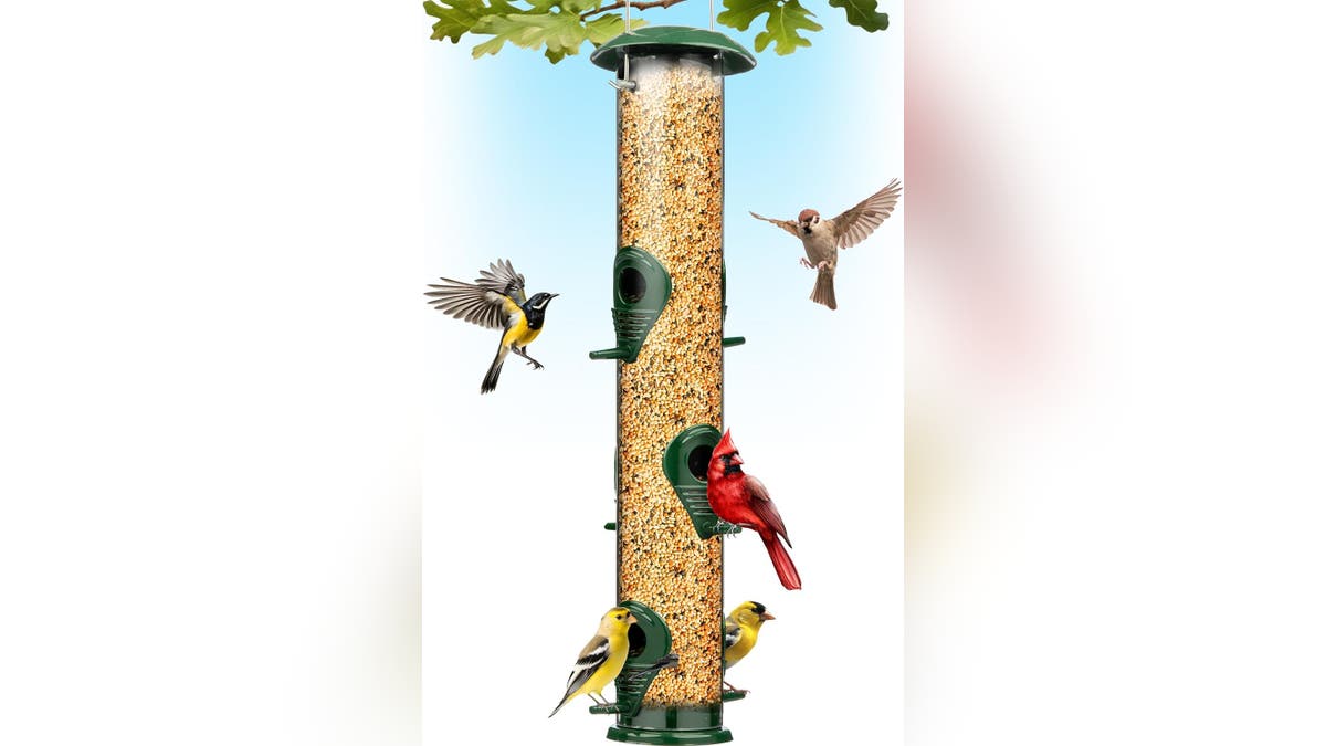 Novice birders will appreciate the simplicity of a classic bird feeder. 