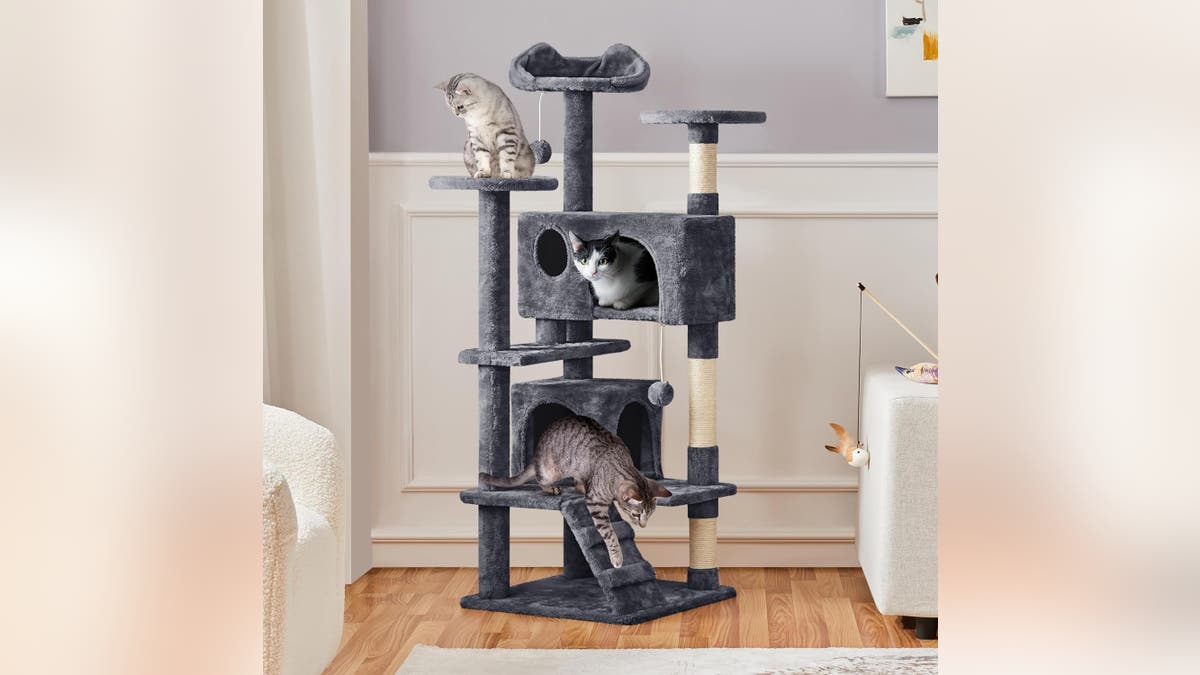 Provide some fun in the catio with a cat tree.?