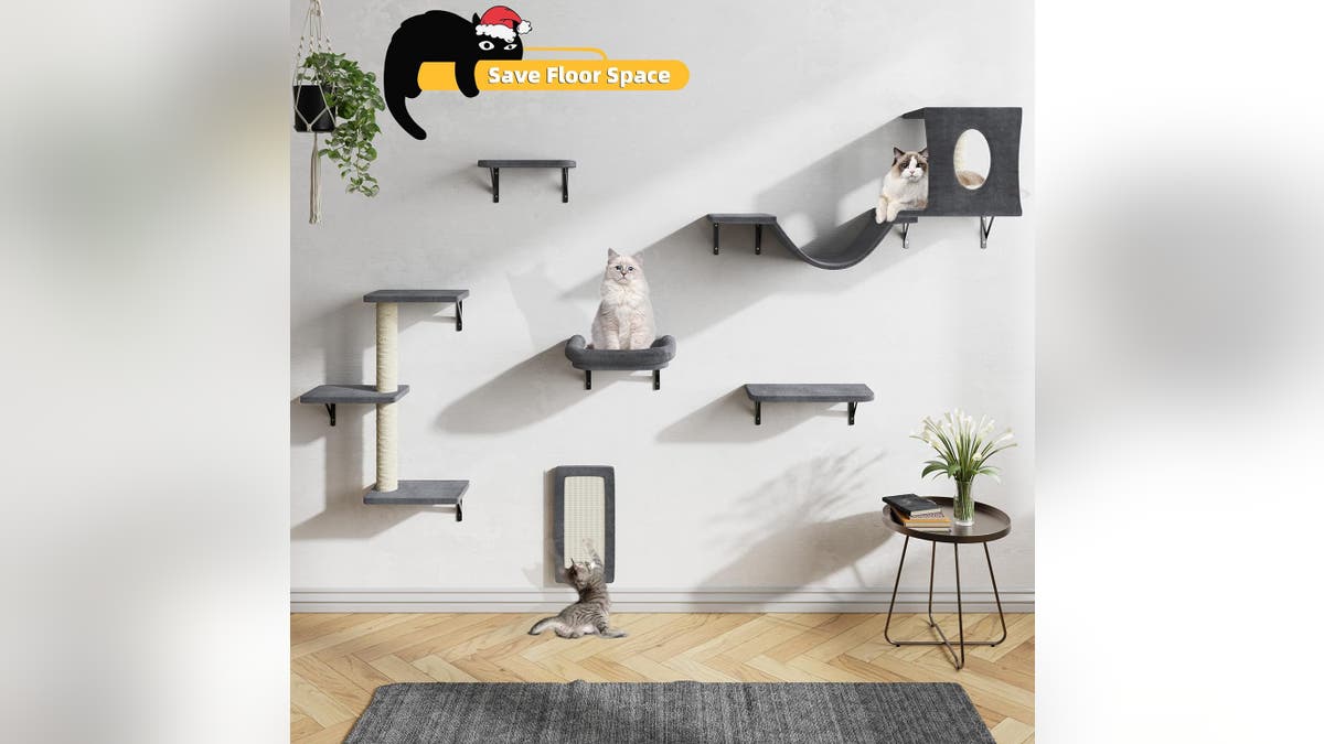 Attach different catio shelves for easy climbing.?