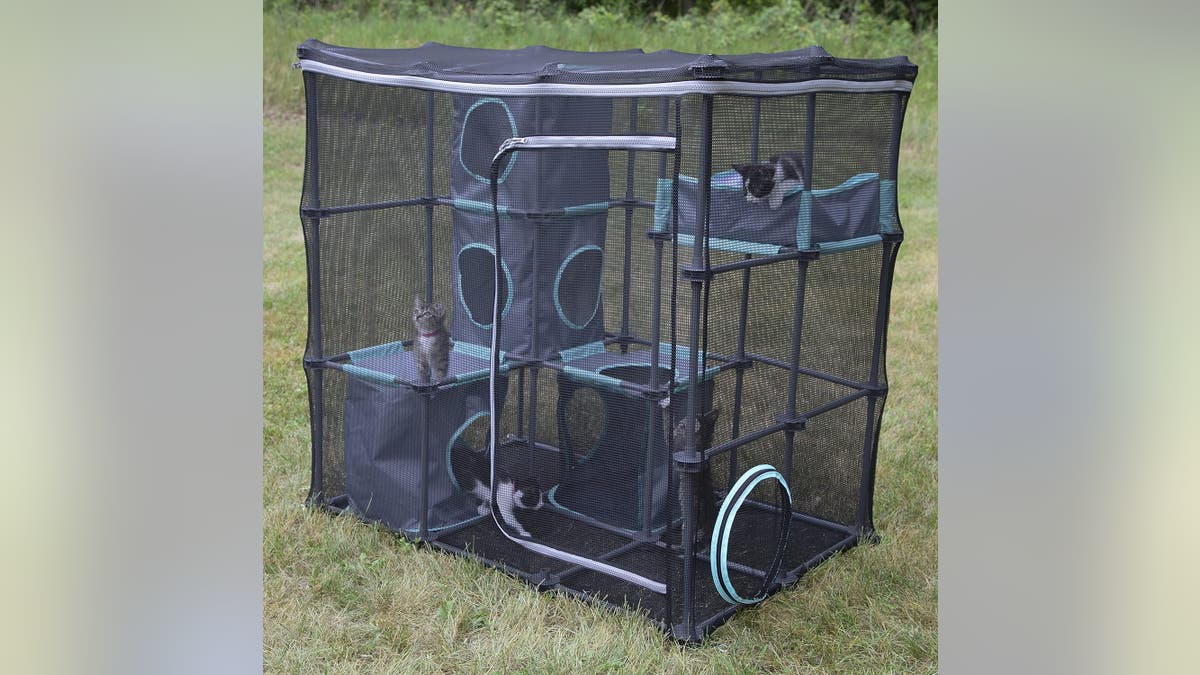 Easily move the catio to wherever you are when you get a mesh, pop-up option.?