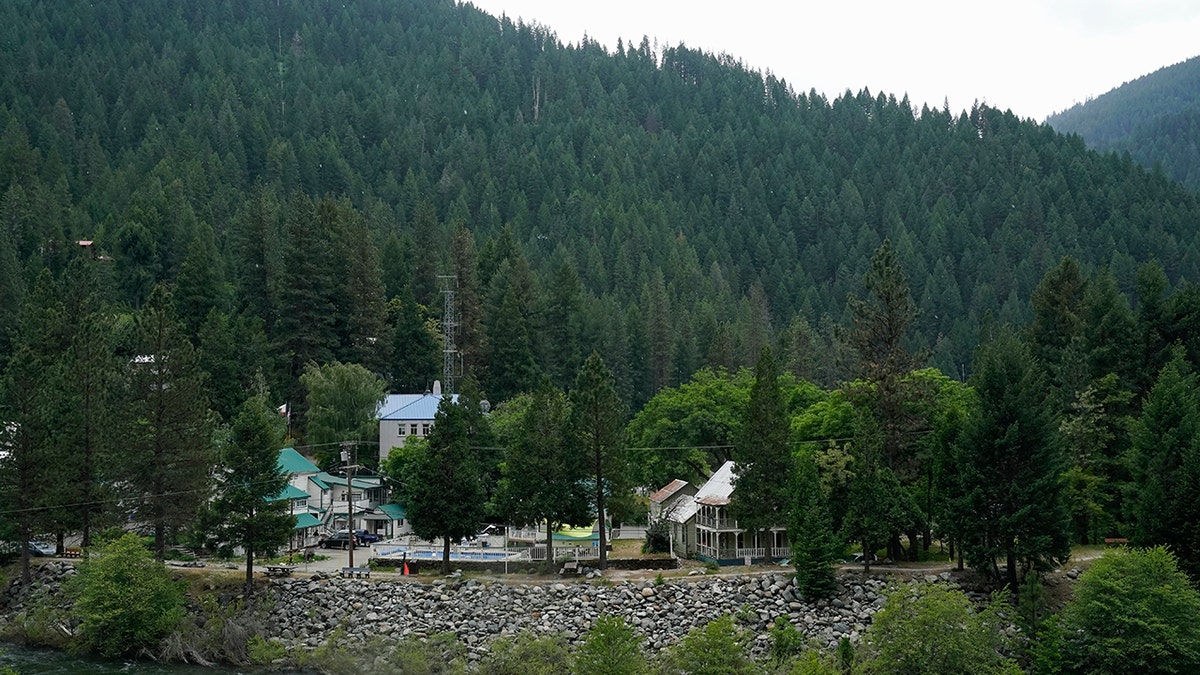 Miller lived in Downieville, Calif., which a wildlife official called: "right in the middle of where bears like to be."