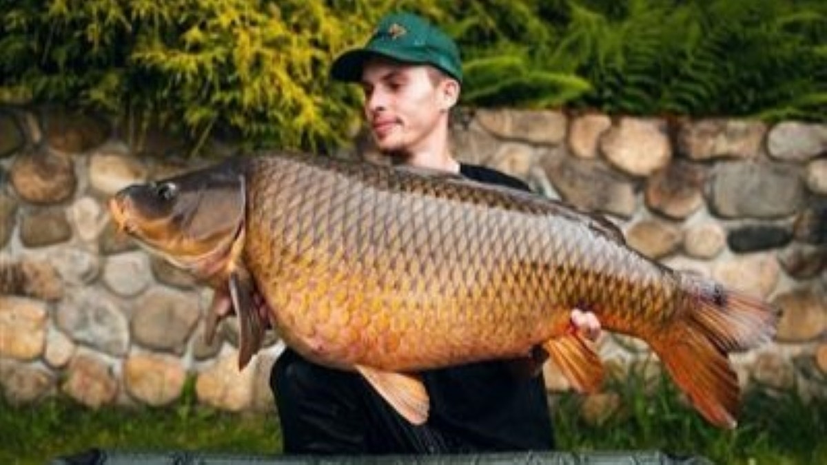 Man holding giant carp
