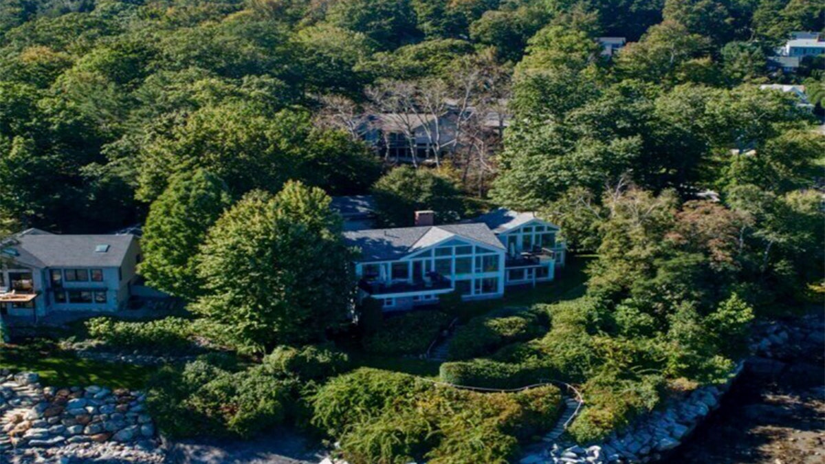 home of Lisa Gorman, the poisoned oak trees behind her home, and the home of the perpetrators behind the dead trees, in Camden, Maine