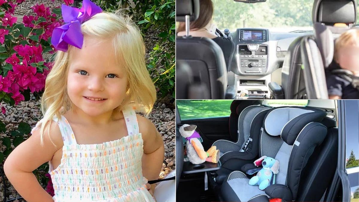 Charlotte Jones in a collage in hot car seat deaths