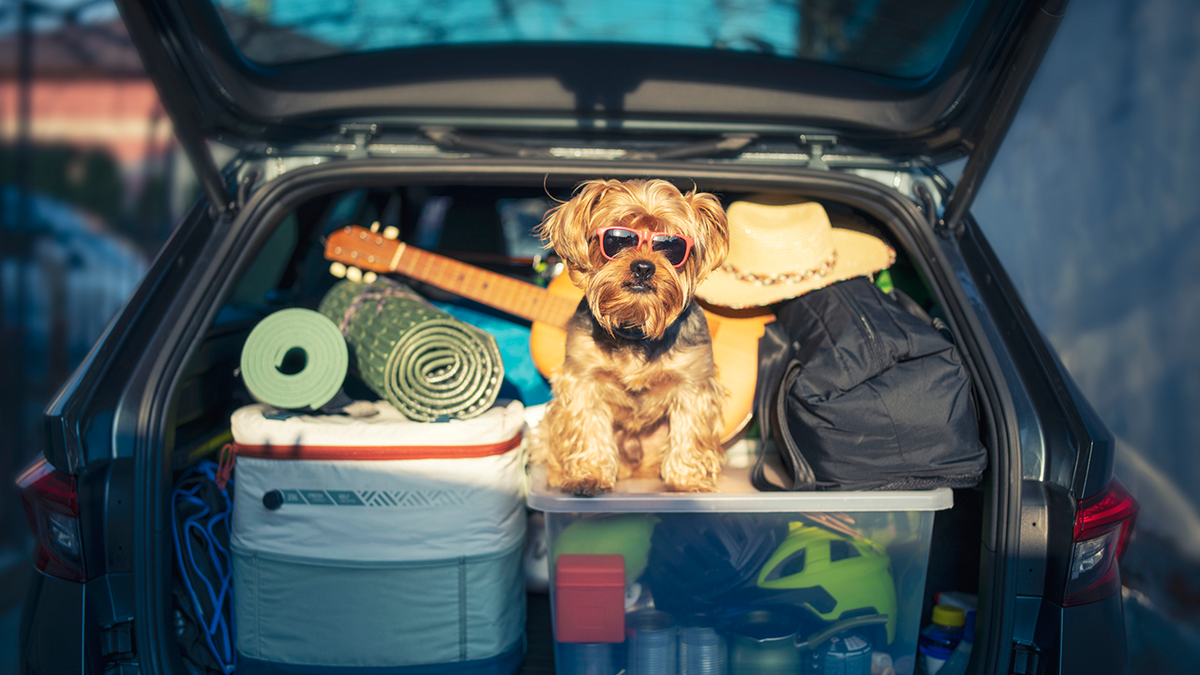 Keep the mess and chaos in order on your next road trip with these tools.