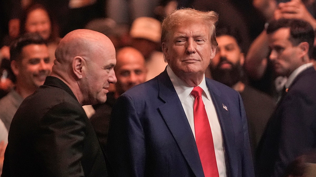Donald Trump at UFC 302