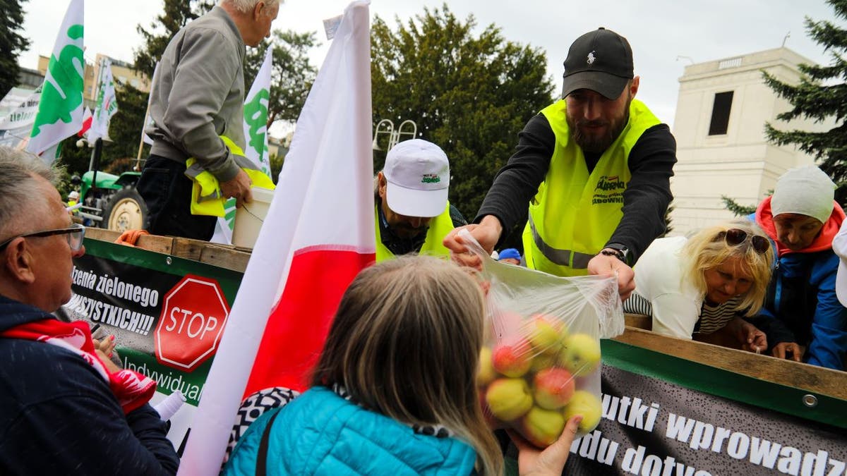 Polish farmer at protest
