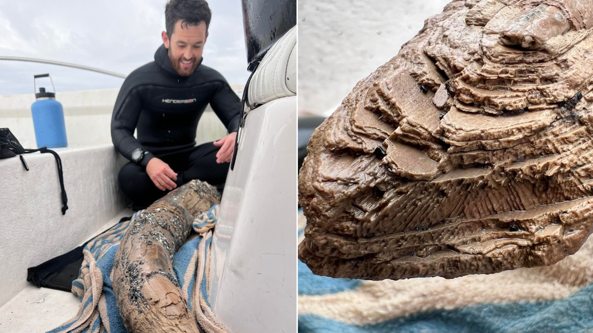 Split image of Lundberg on boat with tusk and close-up of tusk details