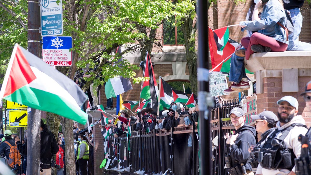 Pro-Palestinian demonstration at DePaul University in Chicago