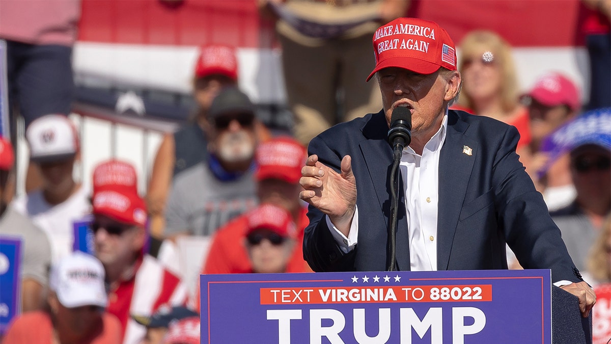 WATCH: Potential VP Pick Tulsi Gabbard Says Trump Running Mate Should ...