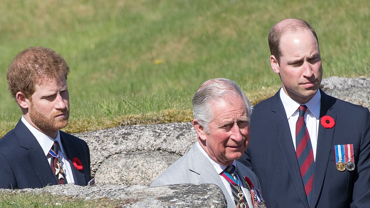 Prince William standing together in front as Prince Harry looks somber behind them.