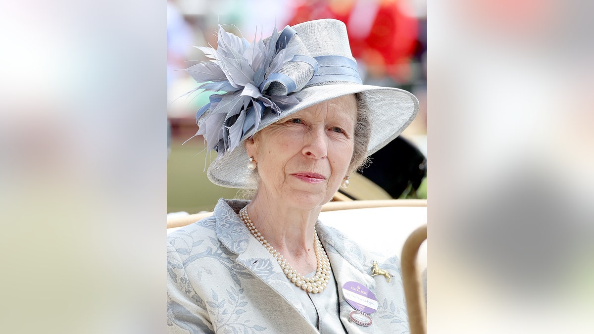 A close-up of Princess Anne wearing a pale blue dress and matching hat.