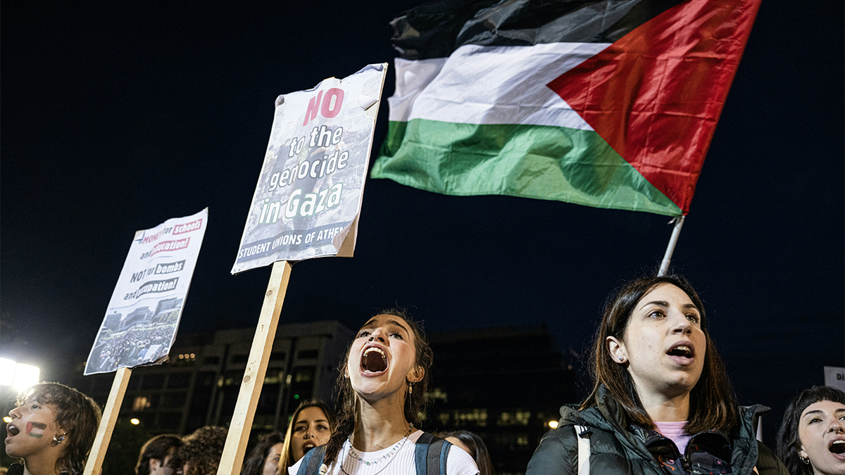 Los manifestantes ondean banderas y carteles palestinos.