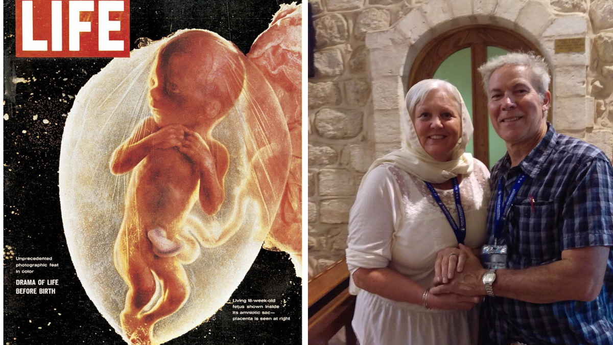 Split image of Life Magazine fetus and Harlows together
