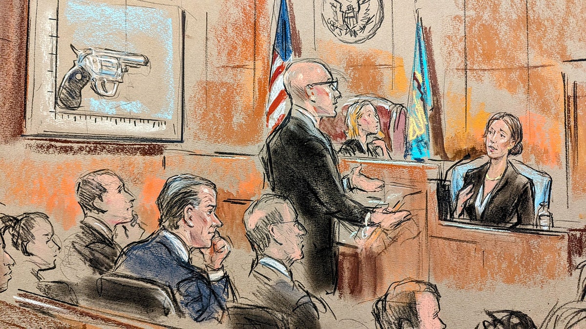 The court sketch depicts Hallie Biden testifying in court during Hunter Biden's trial