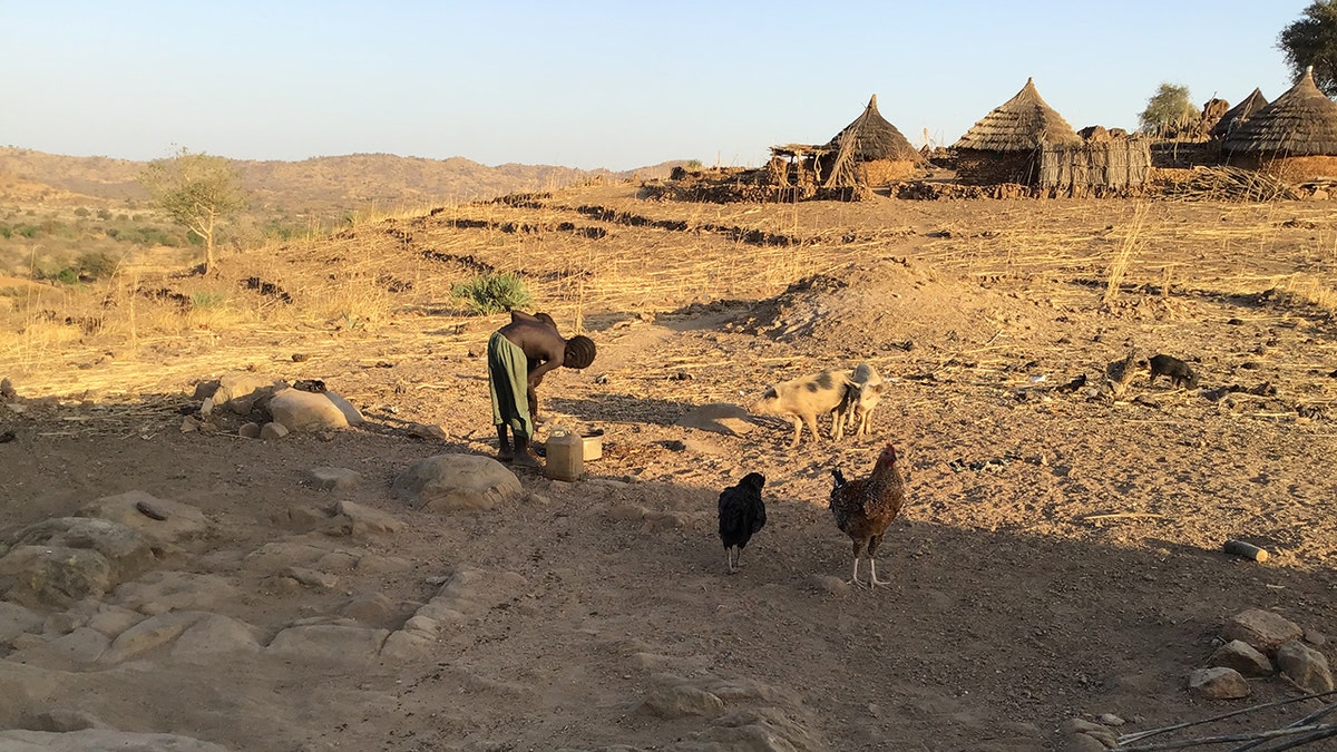 Paisaje de montaña Nuba con gallinas