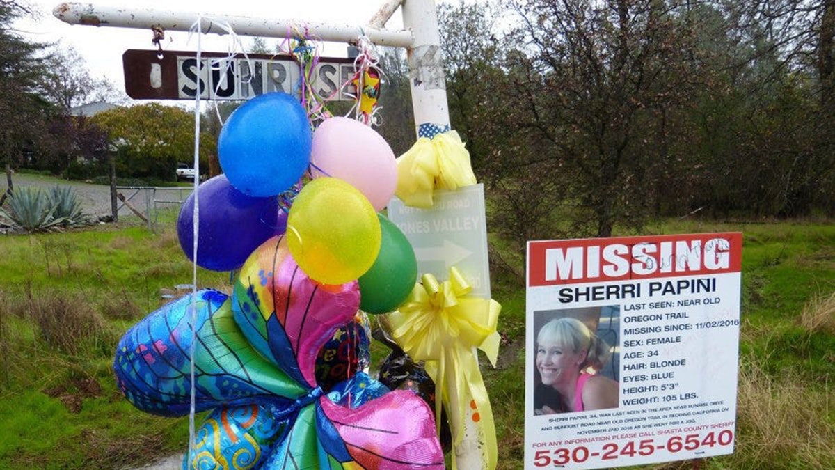 A missing poster for Sherri Papini next to balloons