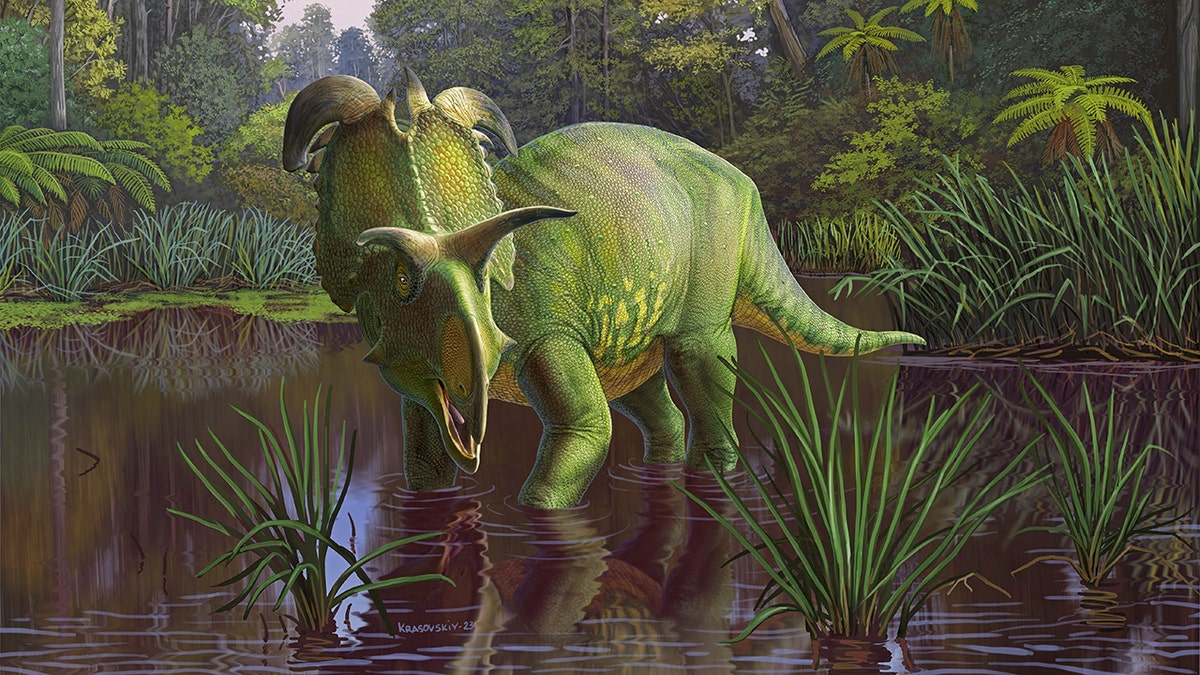 Artist rendering of Lokiceratops