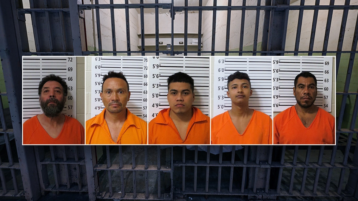 illegal immigrant suspects 