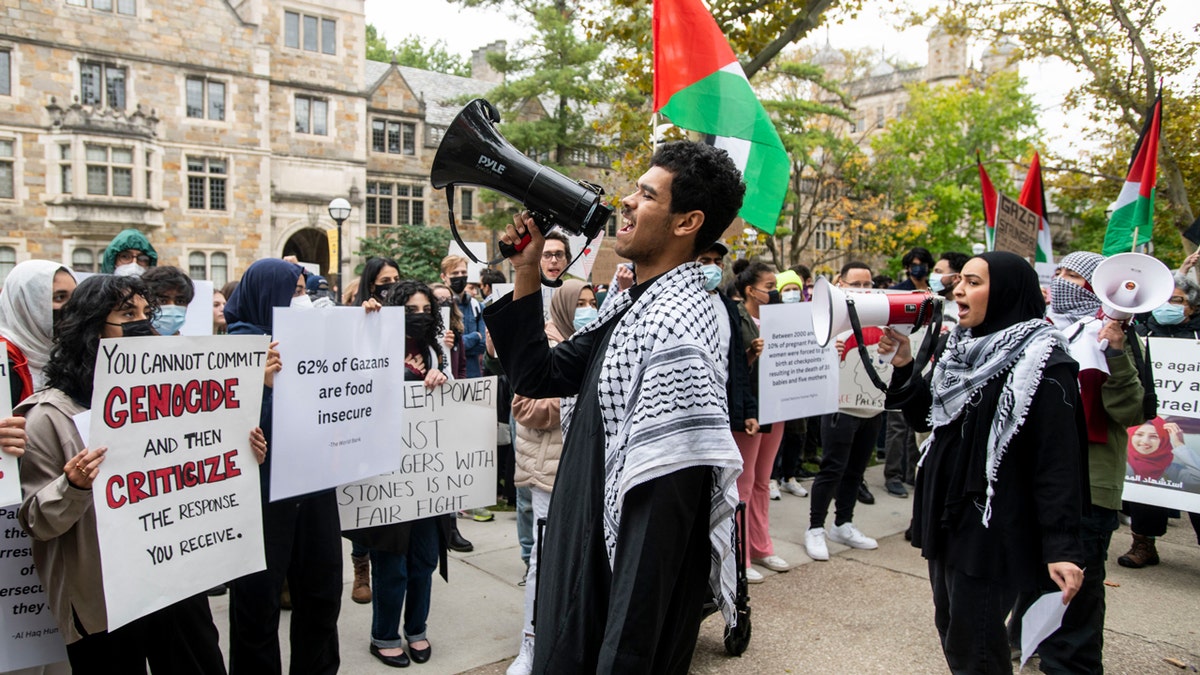 Demonstrators with signs, megaphones, Palestinian flags and keffiyehs demonstrate at the University of Michigan.