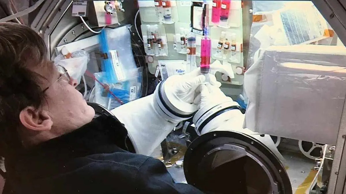 Un astronauta de la NASA experimenta con cristales de proteína dentro de una guantera cerrada en medio de equipos científicos.